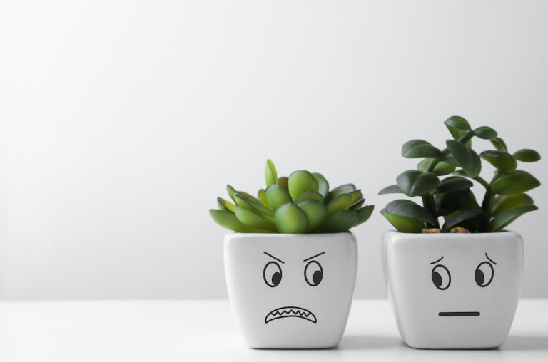 Anger Management